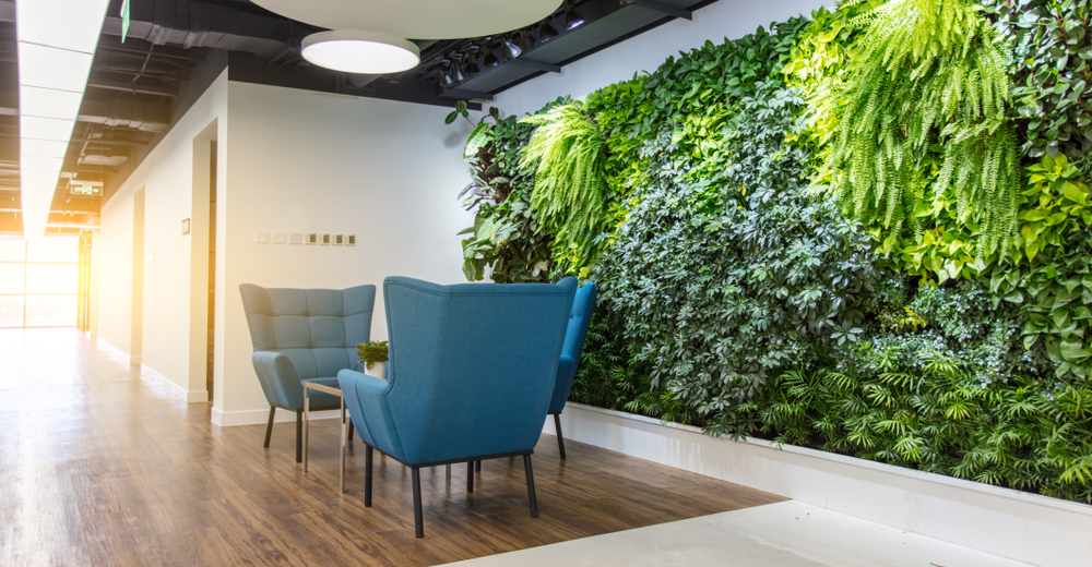 Embracing Nature: Illuminating Offices with Biophilic Design